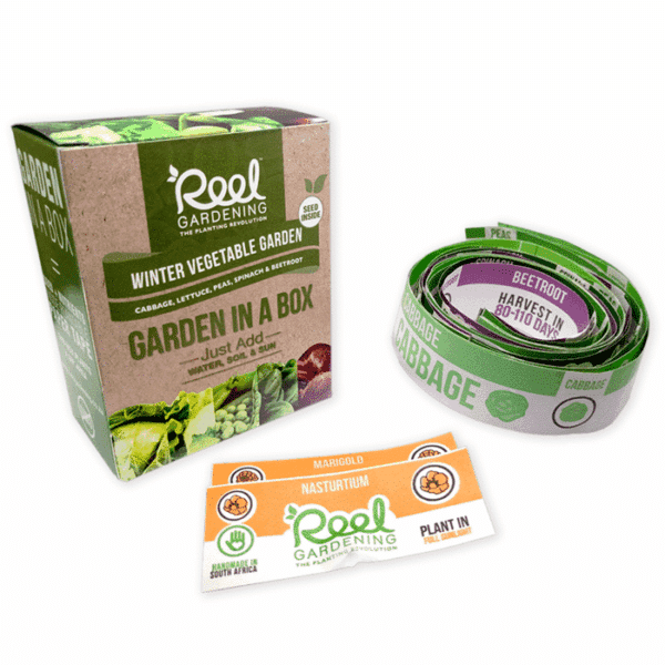 Winter Vegetable Garden In a Box